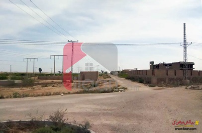 1350 Sq.ft House for Sale in Sindh University E.C.H.S, Jamshoro