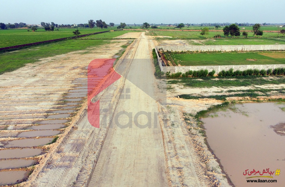 8 Kanal Plot for Sale in Canal View Farms, Bedian Road, Lahore