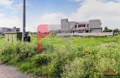 1 Kanal Plot (Plot no 3605) for Sale in Block Y, Phase 7, DHA Lahore