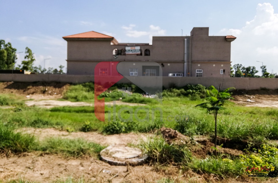1 Kanal Plot (Plot no 447) for Sale in Block Z, Phase 7, DHA Lahore