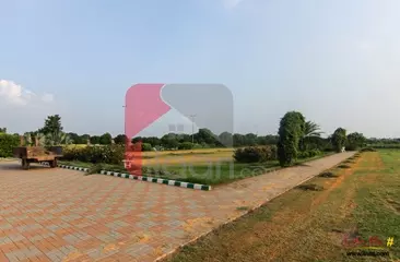 8 Marla Commercial Plot for Sale in Phase 2, Etihad Town, Lahore