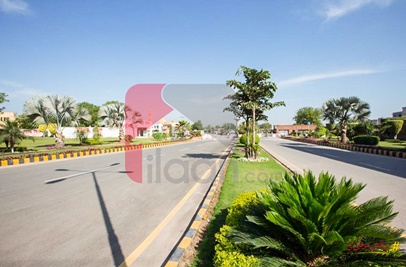 6 Marla Plot for Sale in Tulip Overseas Block, Park View Villas, Lahore