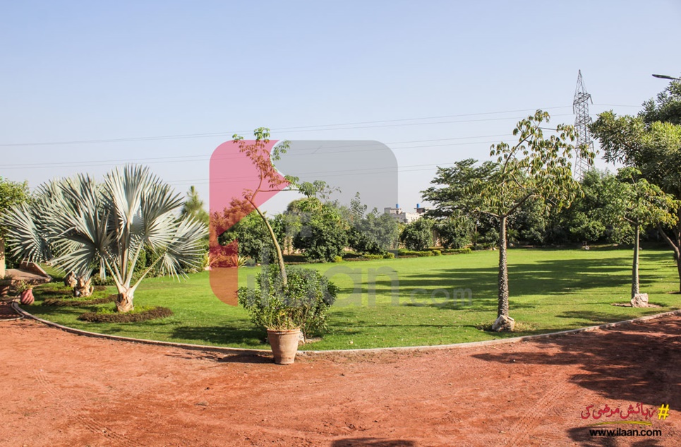 2 Acreage Farm House for Sale in Green Acres Housing Society, Lahore