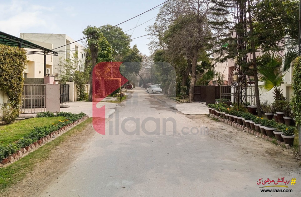 12 Marla House for Rent (Ground Floor) in Block A, Faisal Town, Lahore