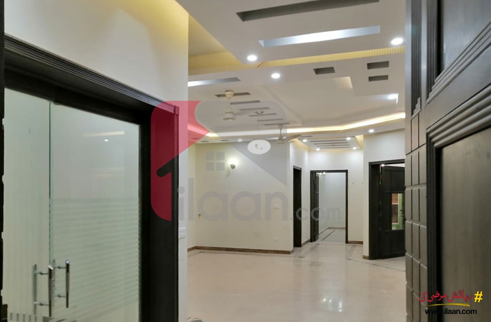 1 Kanal House for Rent in Phase 6, DHA Lahore