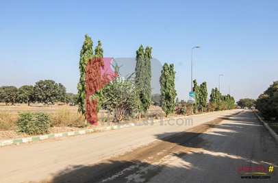 5 Marla Plot for Sale in Phase 2, Etihad Town, Lahore