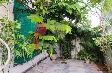 10 Marla House for Sale in Block K, Phase 5, DHA Lahore