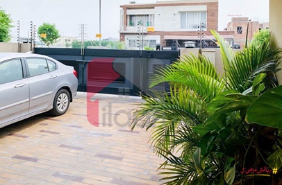 1 Kanal House for Rent in Phase 5, DHA Lahore