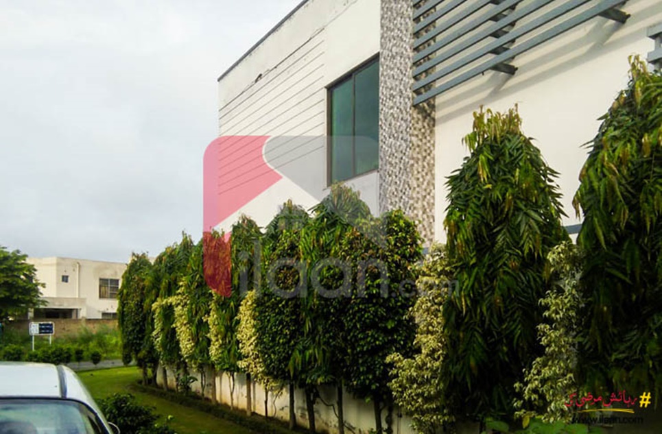 14.5 Marla House for Sale in Phase 5, DHA Lahore