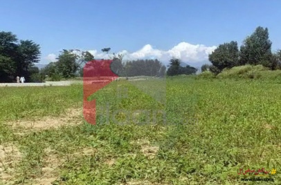 1 Kanal Plot for Sale on JIA Mera Road, College Doraha, Mansehra