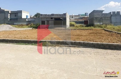 1 Kanal 2 Marla Commercial Plot for Sale near Pakhwal Chowk, Madina Colony Dub 2, Mansehra