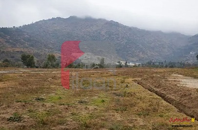 1 Kanal Plot for Sale near Motorway Interchange, Baidra Road, Mansehra