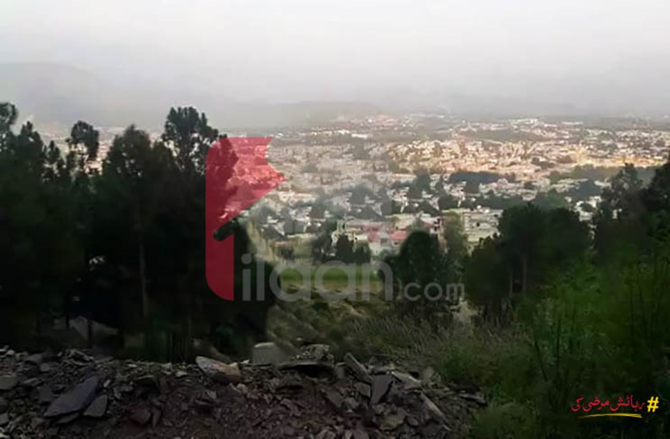 1 Kanal Plot for Sale in Kaghan Colony, Abbottabad