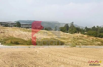 1 Kanal Commercial Plot for Sale on Baidra Road, Mansehra
