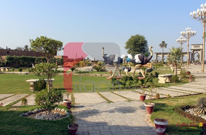 7 Marla Plot for Sale in Al Raheem Housing Scheme, Bahawalpur