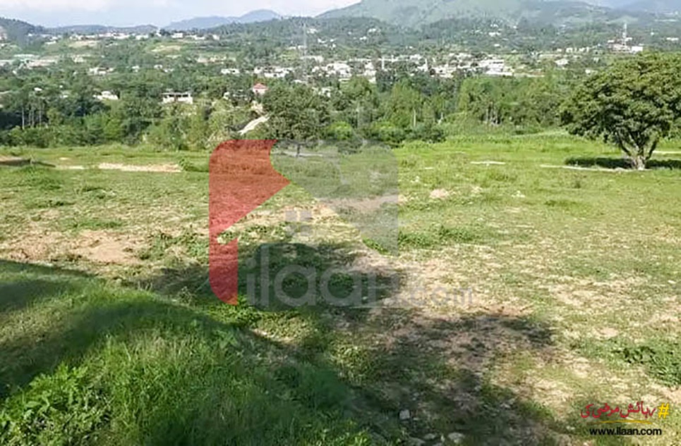 1 Kanal Plot for Sale in Qalandarabad, Abbottabad