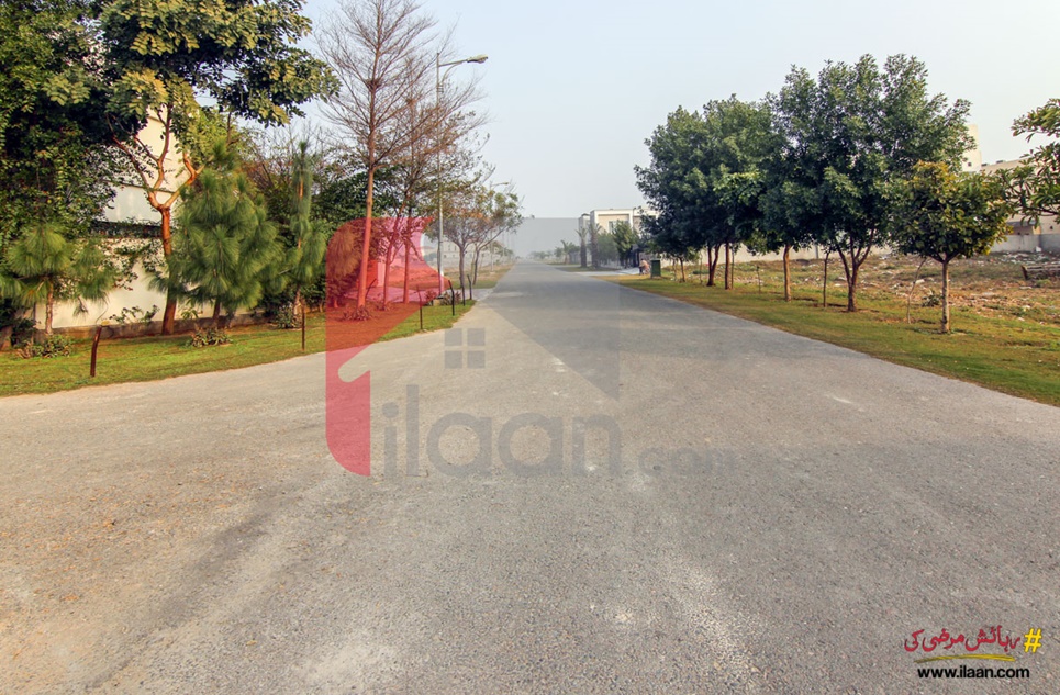 1 Kanal Plot (Plot no 290) for Sale in Block L, Phase 6, DHA Lahore