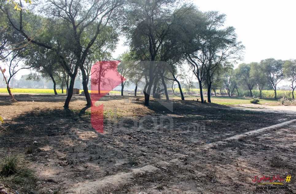 4 Kanal 12 Marla Commercial Land for Sale on Airport Road, Bahawalpur