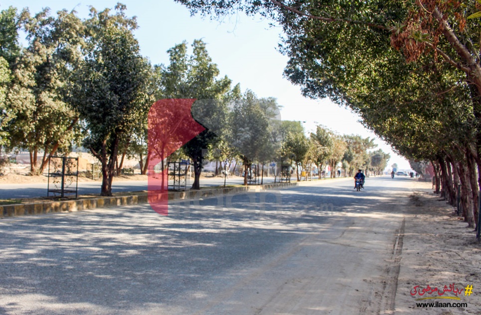 4 Kanal 12 Marla Commercial Land for Sale on Airport Road, Bahawalpur