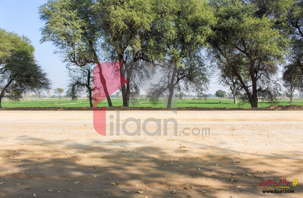 80 Kanal Commercial Land for Sale on Bahawalpur Yazman Road, Bahawalpur