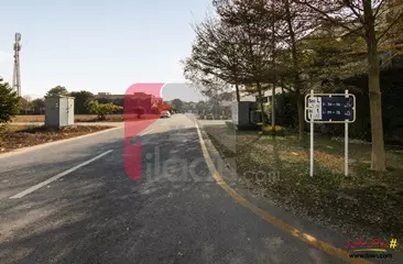 10 Marla House for Sale in Block L, Phase 5, DHA Lahore