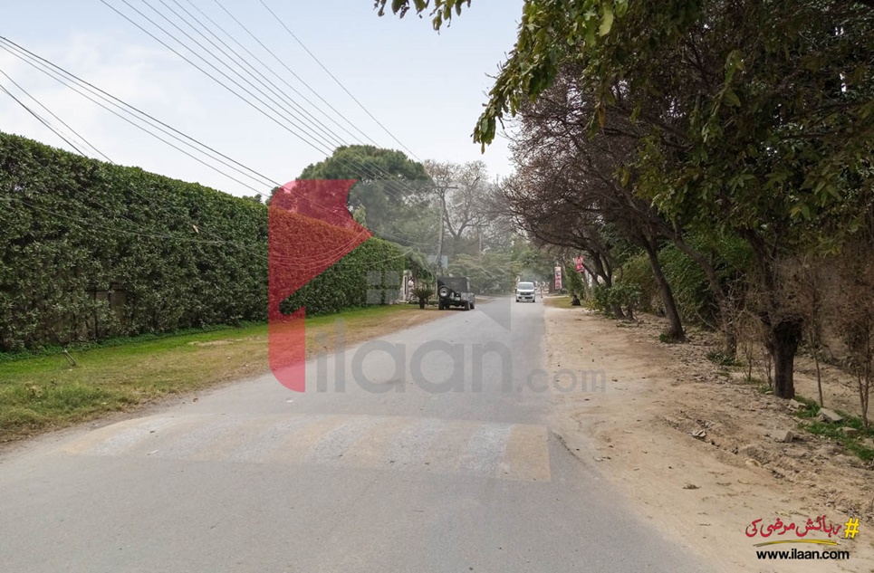 1 Kanal House for Rent in Block A, Model Town, Lahore