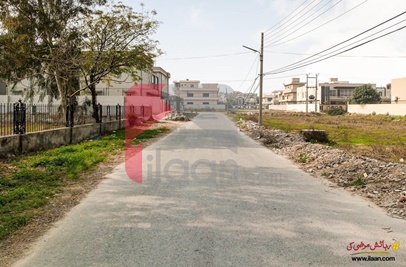 1 Kanal Commercial Plot for Sale in Block H1, Phase 1, Wapda Town, Lahore