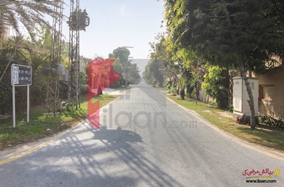 1 Kanal Plot (Plot no 227/2) for Sale in Block U, Phase 2, DHA Lahore