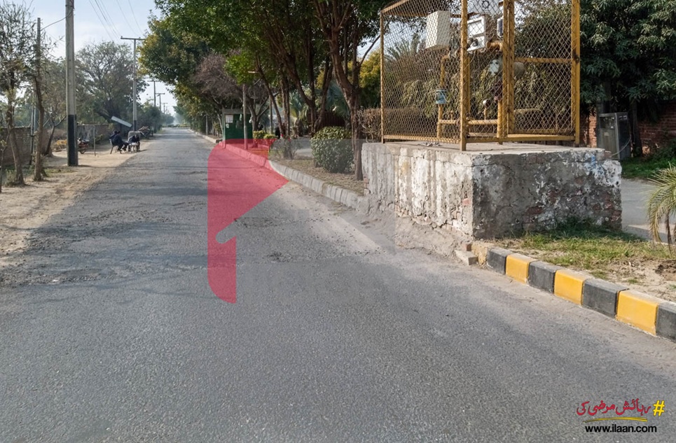 4 Marla Shop for Sale in Chinar Court, Lahore