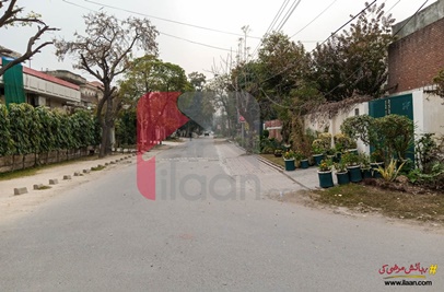 10 Marla House for Rent in Model Town Extension, Model Town, Lahore
