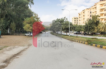 12.4 Marla House for Rent in F-11 Markaz, F-11, Islamabad