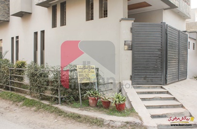 5 Marla House for Rent in Block R, Phase 2, Johar Town, Lahore