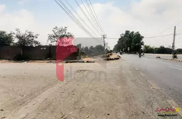 1 Kanal House for Sale in Doctors Housing Society, Lahore