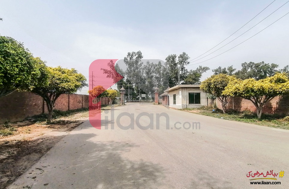 10 Marla Plot for Sale in Doctors Housing Society, Lahore