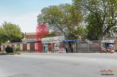 2 Kanal 9 Marla Commercial Plot for Sale on Girls College Road, Bahawalpur