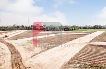 2 Marla Commercial Plot (Plot no 161A) for Sale in Shadman Enclave Housing Scheme, Lahore