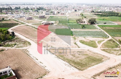 3 Marla Plot for Sale in Shadman Enclave Housing Scheme, Lahore