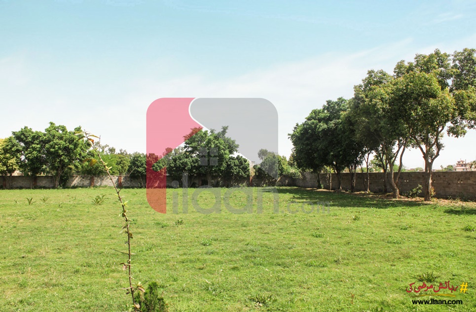 9 Kanal Commercial Land for Sale near Bedian Road, Lahore