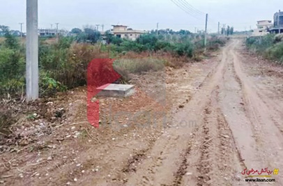 2250 Sq.ft Plot for Sale in PAF Tarnol, Islamabad