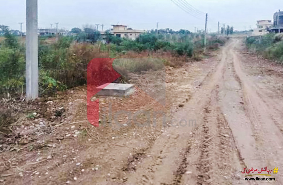 2250 Sq.ft Plot for Sale in PAF Tarnol, Islamabad