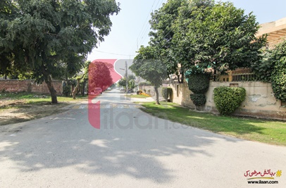 1 Kanal House for Rent (Ground Floor) in Block X, Phase 3, DHA Lahore