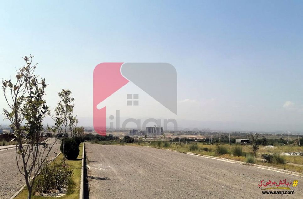 2500 Sq.ft Commercial Plot for Sale in D-Markaz, Gulberg Residencia, Islamabad