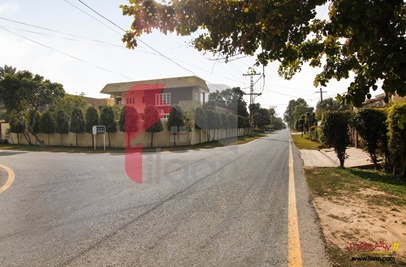 10 Marla Plot (Plot no 234) for Sale in Block Q, Phase 2, DHA Lahore