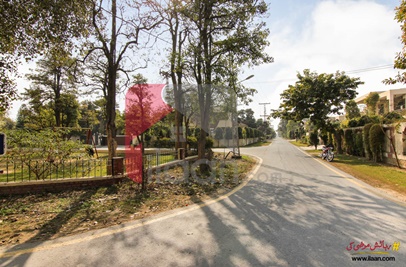 2 Kanal Plot-81 for Sale in Block Q Phase 2 DHA Lahore
