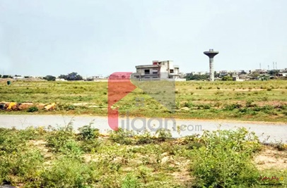 10.98 Marla Plot for Sale in G-14/1, Islamabad
