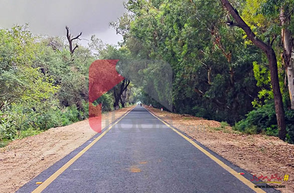 5 Kanal 10 Marla Commercial Plot for Sale in Lal Sohanra, Bahawalpur
