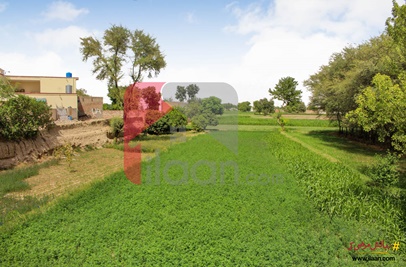 1 Acre Commercial Land for Sale in 13 Soling Adda, Yazman Road, Bahawalpur