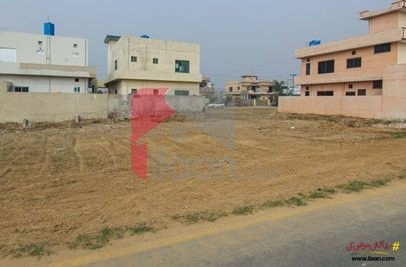 10 marla plot available for sale in D - Block Central Park Housing Scheme, Lahore ( Plot no 264 )